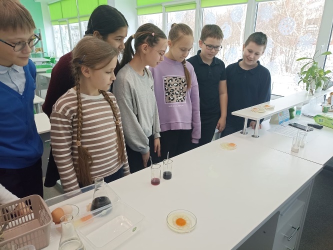 В День российской науки в детском технопарке «Кванториум» состоялась серия образовательных мероприятий.